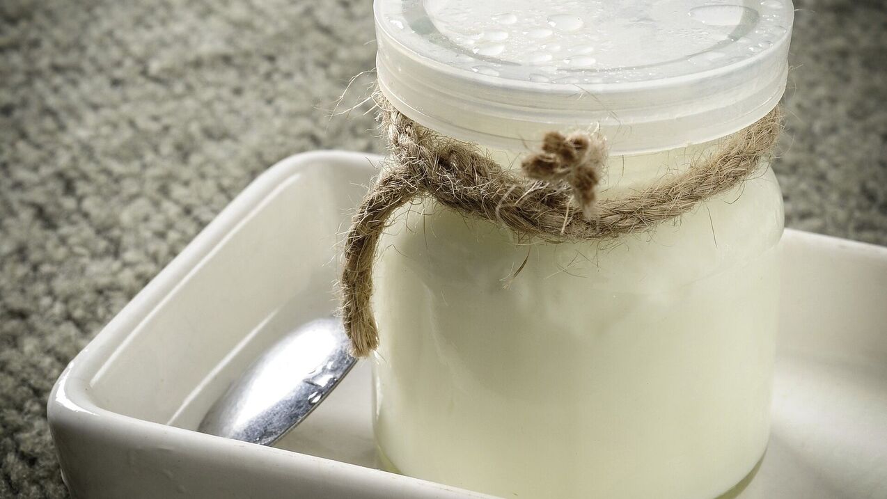 productos lácteos fermentados el quinto día